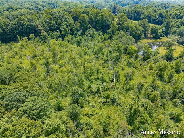 262 40th St, Allegan, MI 49010 - photo 25