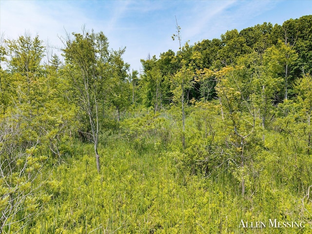 262 40th St, Allegan, MI 49010 - photo 26
