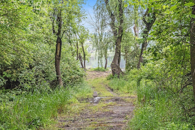 4770 E Joy Rd, Ann Arbor, MI 48105