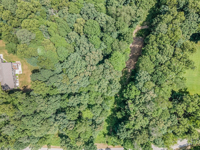 3481 Jeffrey Spur, Hamilton, MI 49419
