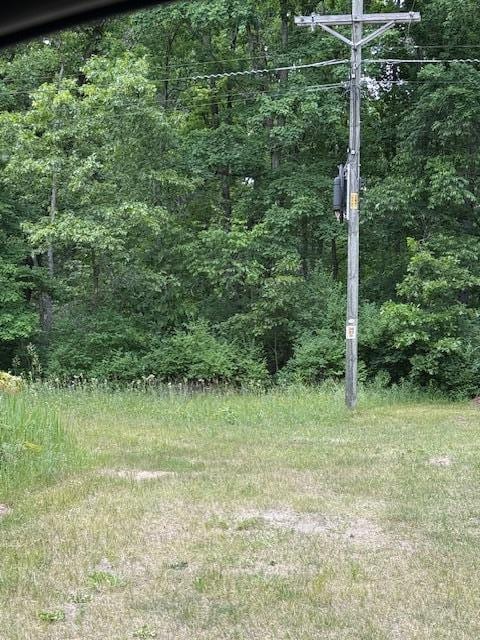 3027 E Croton Dr, Newaygo, MI 49337