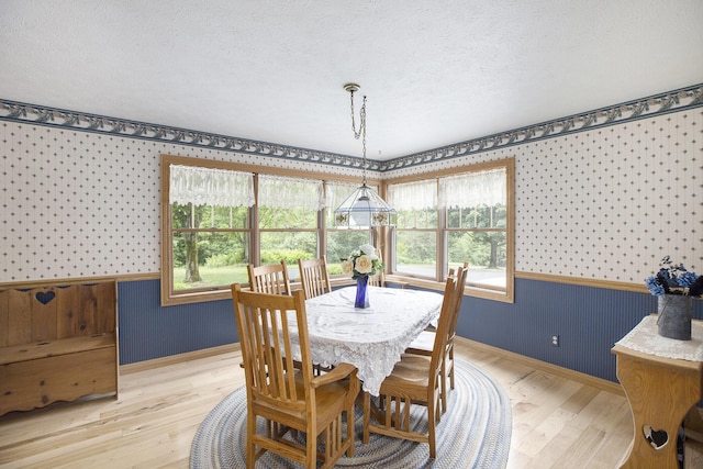 7272 E M 113, Kingsley, MI 49649 - dining room featuring wallpapered walls, a wainscoted wall, wood finished floors, and a textured ceiling