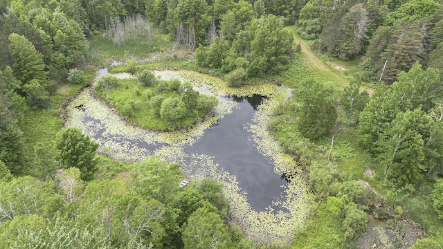 7272 E M 113, Kingsley, MI 49649 - aerial view of a large body of water