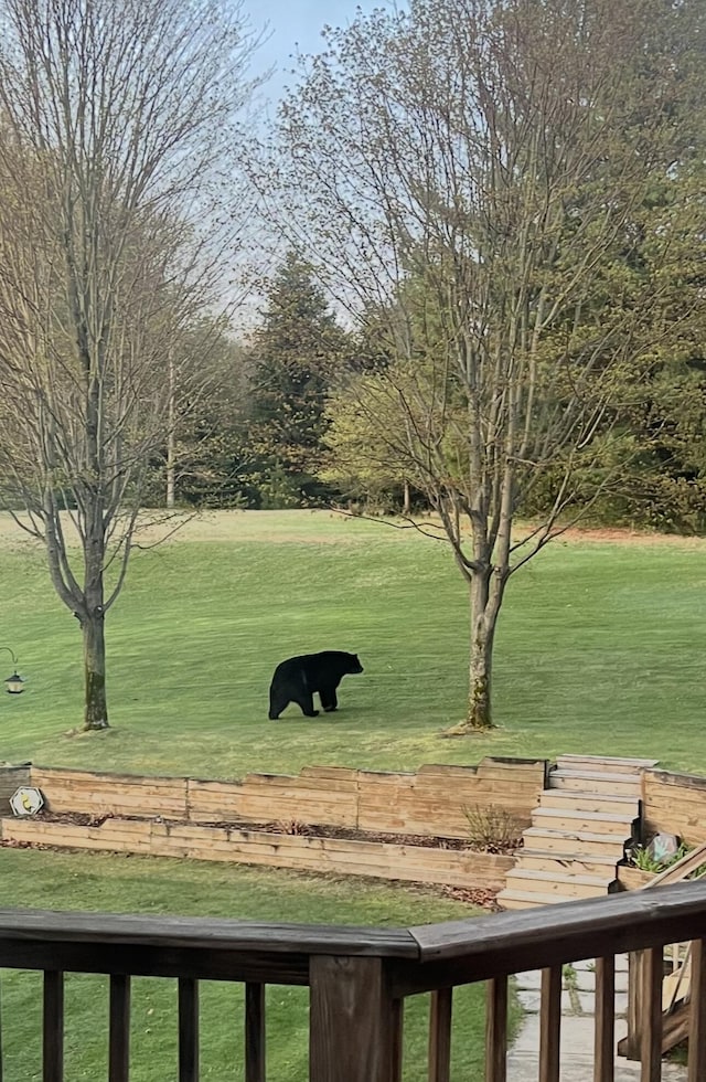 7272 E M 113, Kingsley, MI 49649 - view of grassy yard