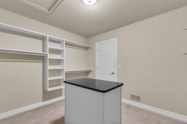 50501 Elmwood Ct, Plymouth, MI 48170 - walk in closet with light carpet