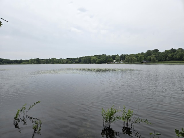 0 White Lake Rd, Pleasant Lake, MI 49272