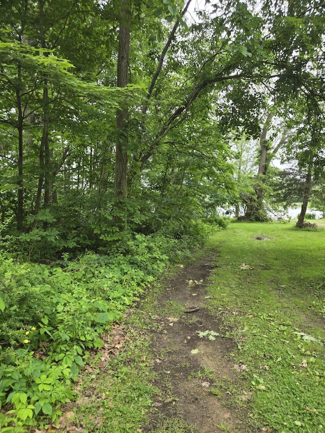 0 White Lake Rd, Pleasant Lake, MI 49272
