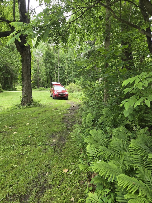 0 White Lake Rd, Pleasant Lake, MI 49272