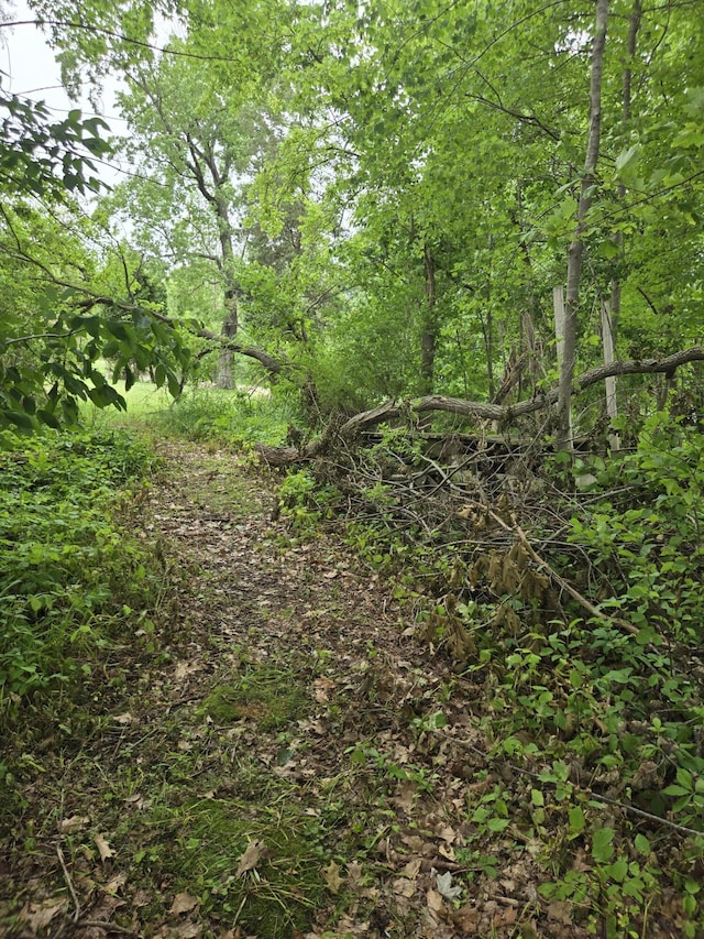0 White Lake Rd, Pleasant Lake, MI 49272