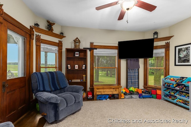 13872 Hastings Rd, Freeport, MI 49325 - game room featuring carpet and ceiling fan