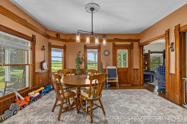 13872 Hastings Rd, Freeport, MI 49325 - dining area featuring wainscoting, healthy amount of natural light, wood finished floors, and wood walls