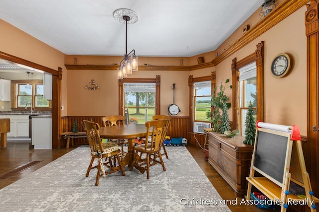 13872 Hastings Rd, Freeport, MI 49325 - dining room with wainscoting and dark wood-type flooring