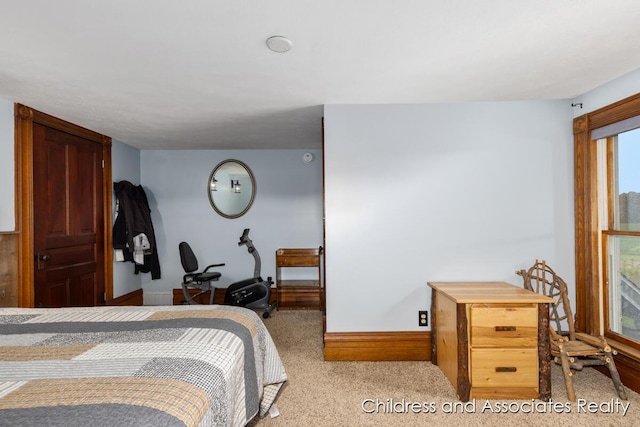 13872 Hastings Rd, Freeport, MI 49325 - bedroom featuring carpet floors and baseboards