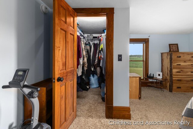 13872 Hastings Rd, Freeport, MI 49325 - hall featuring carpet floors
