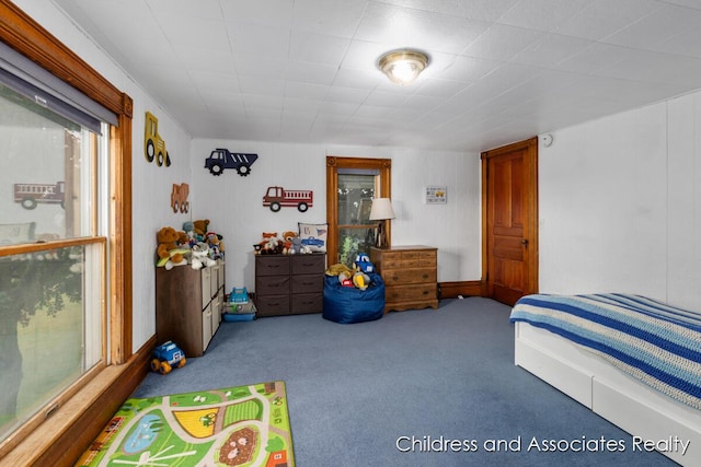 13872 Hastings Rd, Freeport, MI 49325 - view of carpeted bedroom