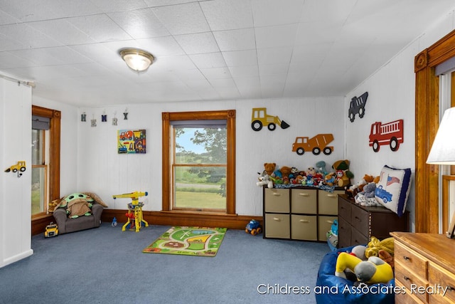 13872 Hastings Rd, Freeport, MI 49325 - playroom featuring carpet