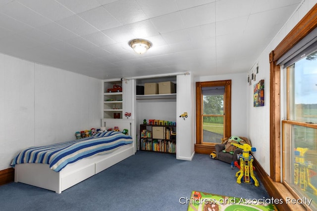 13872 Hastings Rd, Freeport, MI 49325 - carpeted bedroom with a closet