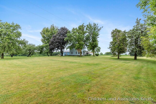 13872 Hastings Rd, Freeport, MI 49325 - view of grassy yard