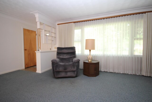 6426 Westchester St, Portage, MI 49024 - living area featuring carpet flooring and plenty of natural light