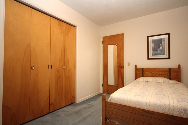 6426 Westchester St, Portage, MI 49024 - bedroom featuring dark colored carpet and a closet