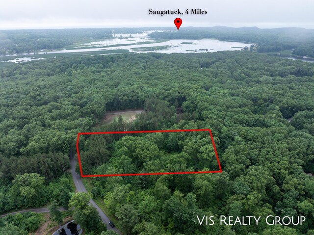 6289 Gesh Trl, Saugatuck, MI 49453 - photo 5