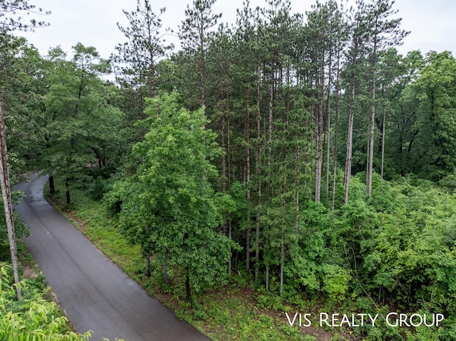 6289 Gesh Trl, Saugatuck, MI 49453 - photo 11