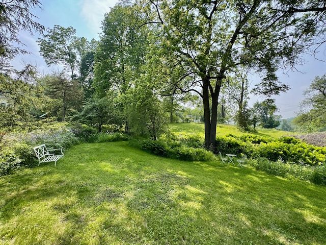 2277 W Huron River Dr, Ann Arbor, MI 48103 - photo 44