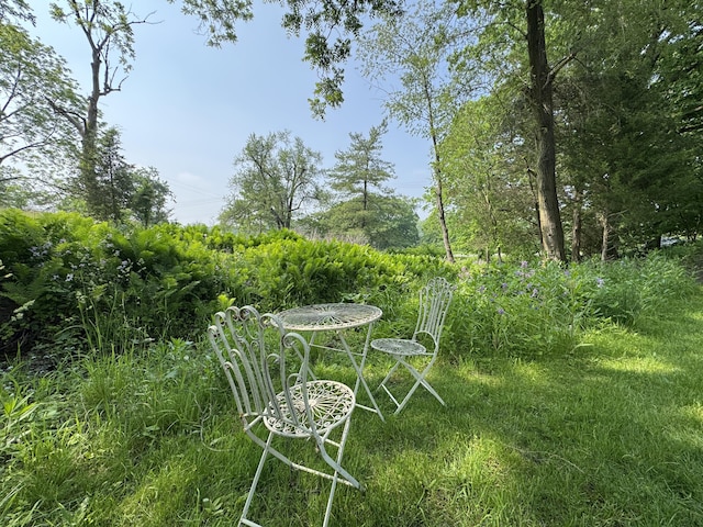 2277 W Huron River Dr, Ann Arbor, MI 48103 - photo 45