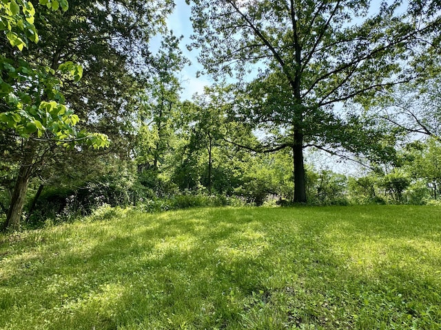 2277 W Huron River Dr, Ann Arbor, MI 48103 - photo 50