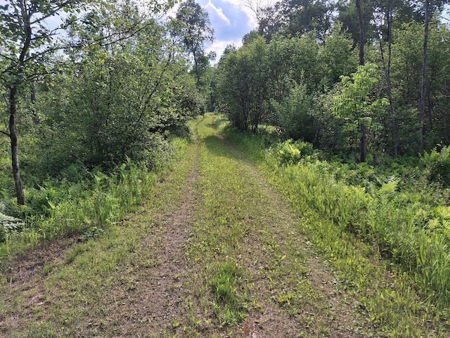 6897 Riverside Rd, Evart, MI 49631