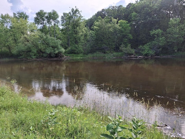 6897 Riverside Rd, Evart, MI 49631