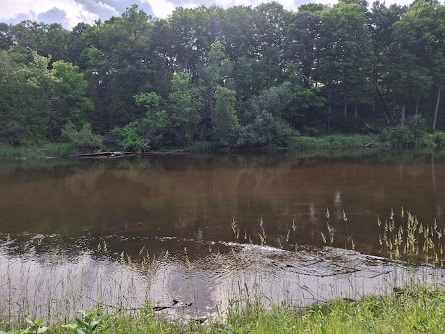 6897 Riverside Rd, Evart, MI 49631