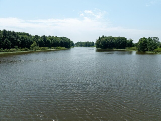 PARCELA N Stephens Rd, Custer, MI 49405 - photo 20