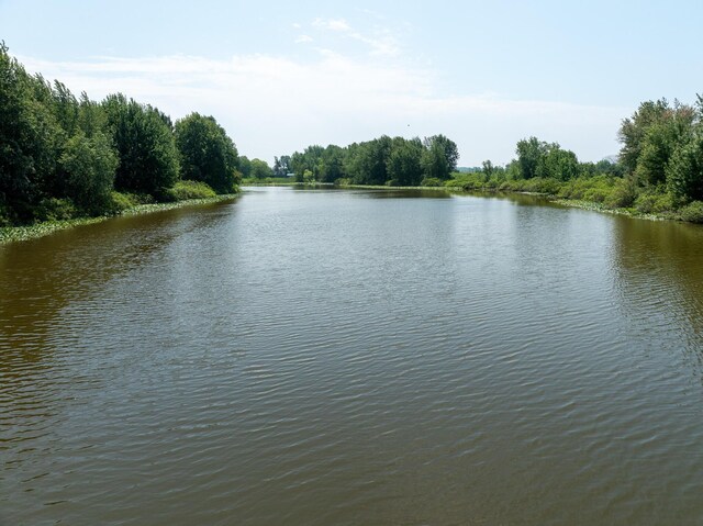 PARCELA N Stephens Rd, Custer, MI 49405 - photo 6