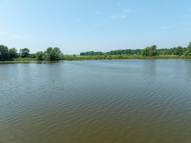 18A N Stephens Rd, Custer, MI 49405