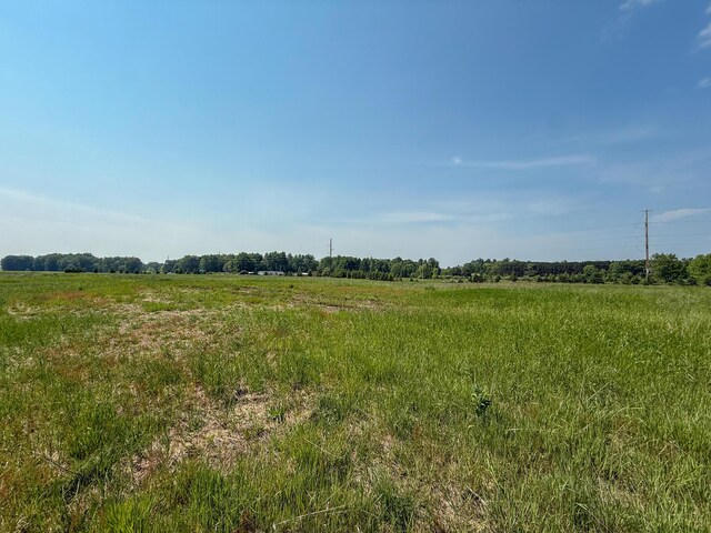 PARCELA N Stephens Rd, Custer, MI 49405 - photo 15