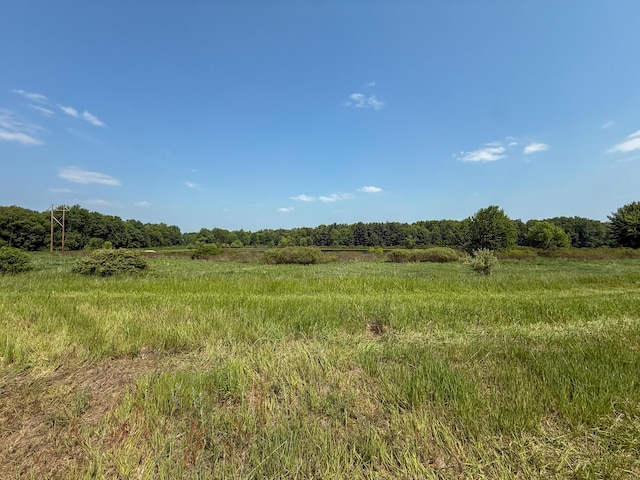 18A N Stephens Rd, Custer, MI 49405