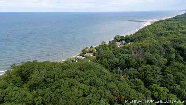 V/L Wood Drift Dr, West Olive, MI 49460