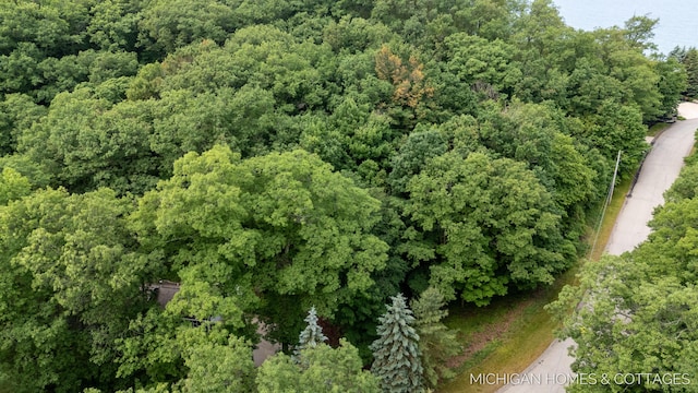 V/L Wood Drift Dr, West Olive, MI 49460