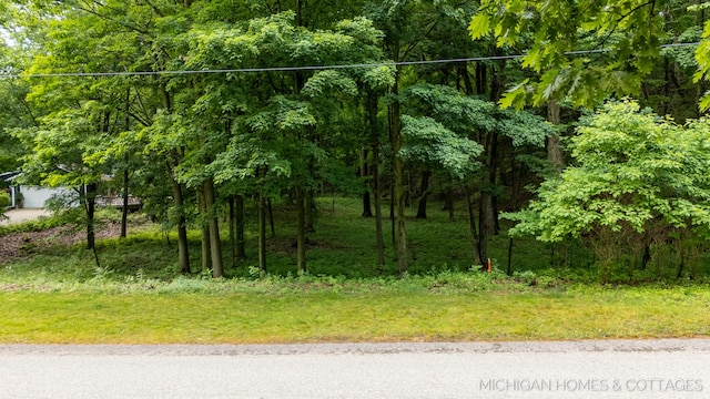 V/L Wood Drift Dr, West Olive, MI 49460