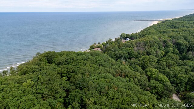 V/L Wood Drift Dr, West Olive, MI 49460