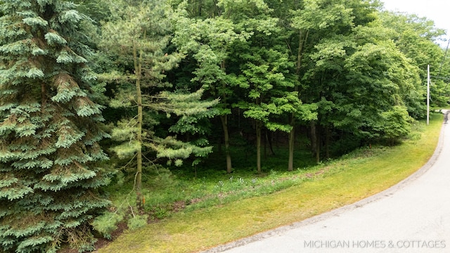 V/L Wood Drift Dr, West Olive, MI 49460