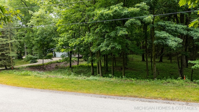 V/L Wood Drift Dr, West Olive, MI 49460