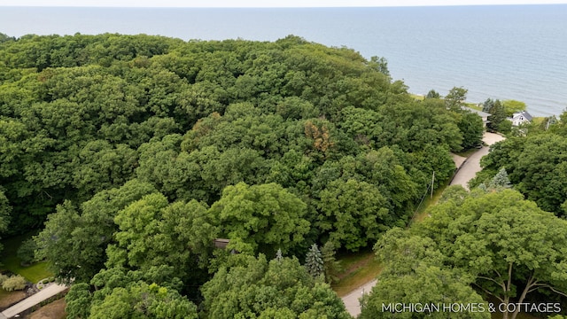 V/L Wood Drift Dr, West Olive, MI 49460
