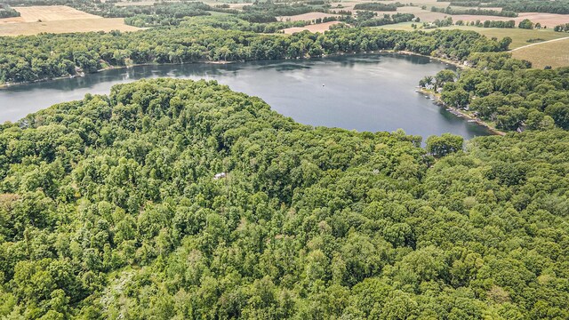 VL County Road 354, Lawton, MI 49065 - photo 11
