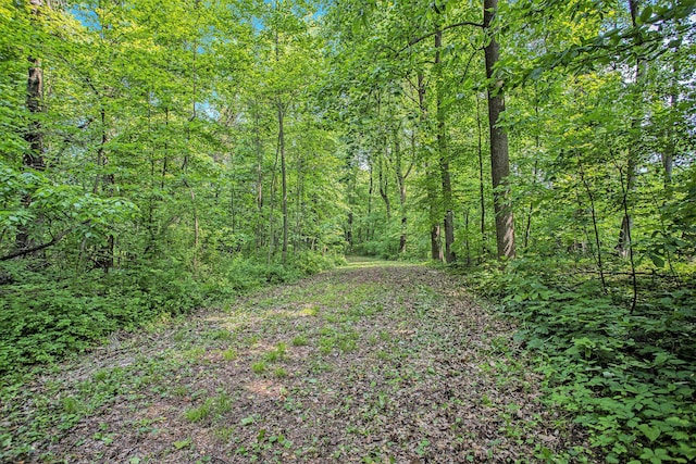 VL County Road 354, Lawton, MI 49065 - photo 25