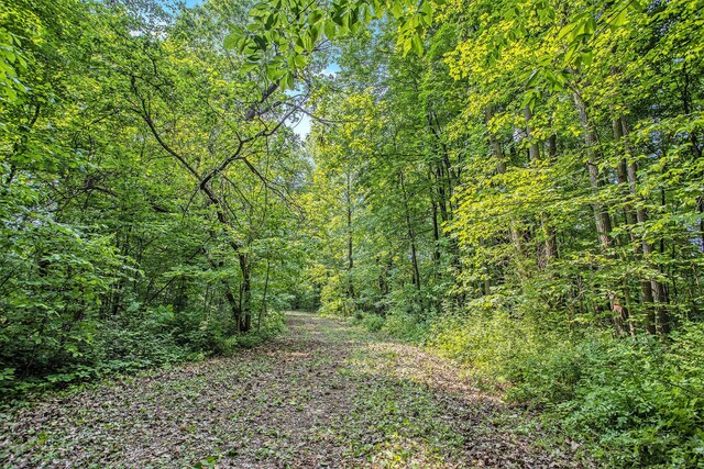 VL County Road 354, Lawton, MI 49065 - photo 22