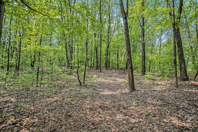 VL County Road 354, Lawton, MI 49065 - photo 21