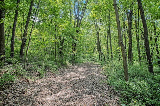 VL County Road 354, Lawton, MI 49065 - photo 24
