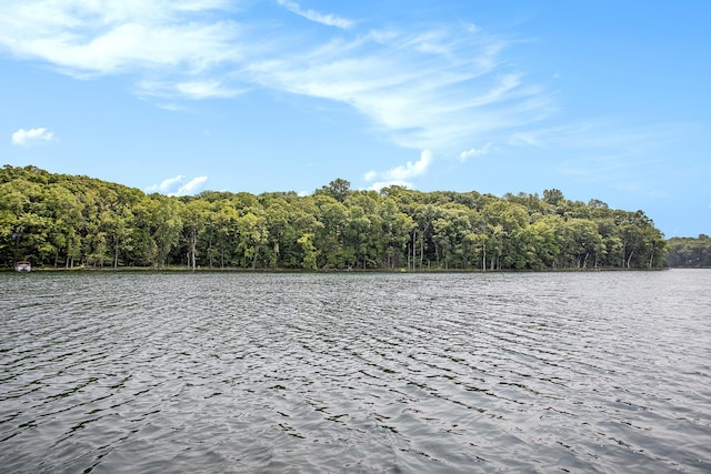 VL County Road 354, Lawton, MI 49065 - photo 4